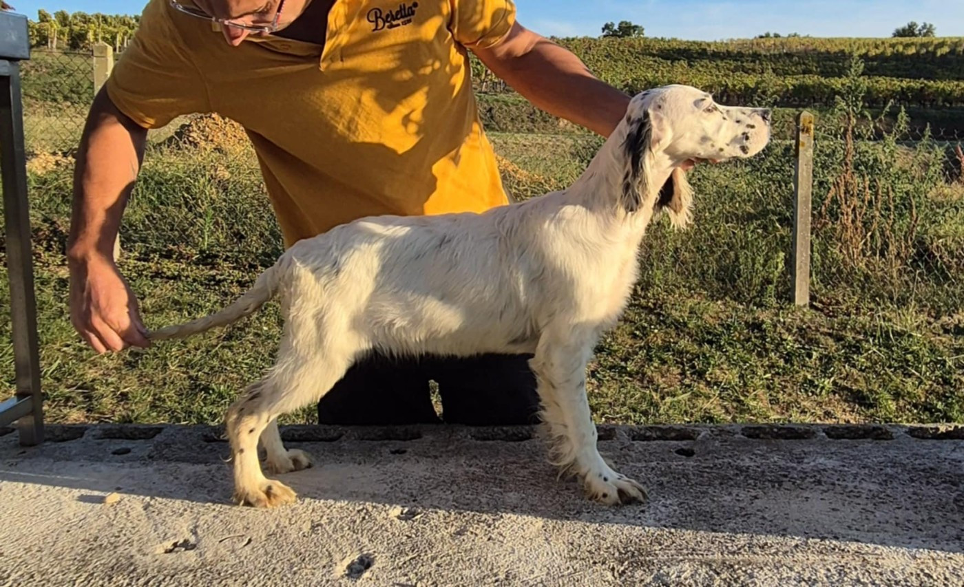 DES RIVES DE LA MUSSTIERE